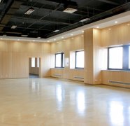 室內(nèi)(nèi)裝飾墻板